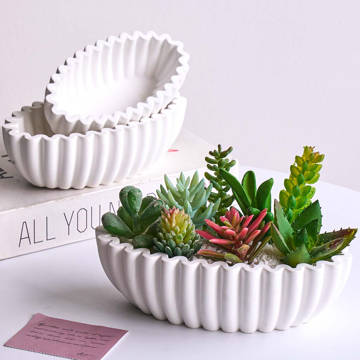 S/M/L Oval Striped Storage Bow - огляд і ціна Potsticker Mold